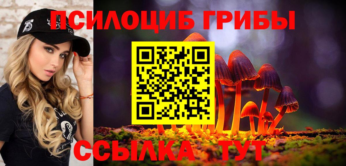 Псилоцибиновые грибы мухоморы  Вход с VPN  Павловский Посад  Псилоцибиновые грибы Psilocybine cubensis 