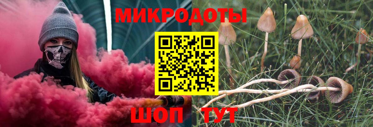Псилоцибиновые грибы Psilocybine cubensis Павловский Посад